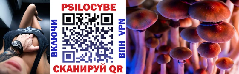 Псилоцибиновые грибы Cubensis  где найти   Чкаловск 